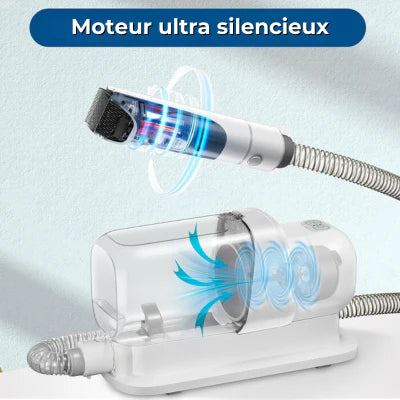 Aspirateur poil de chien | Hoover