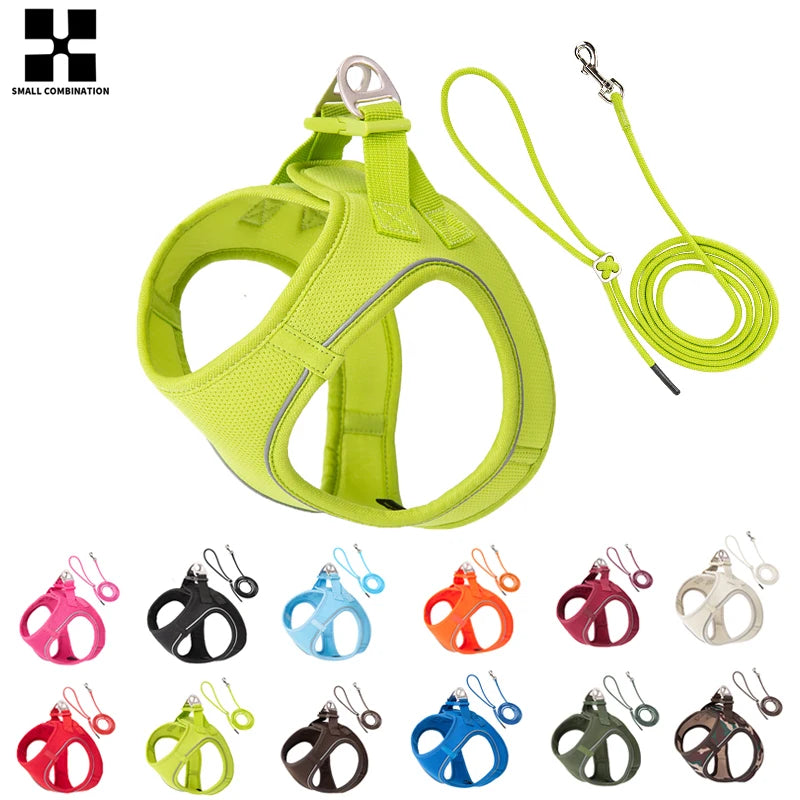 Harnais chien avec laisse, pour petit et moyenne taille | Sweety