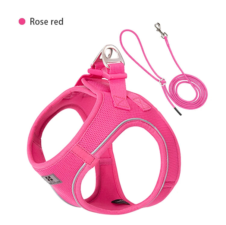 Harnais chien avec laisse, pour petit et moyenne taille | Sweety