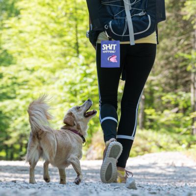 accessoire pour chien BagDog resistant