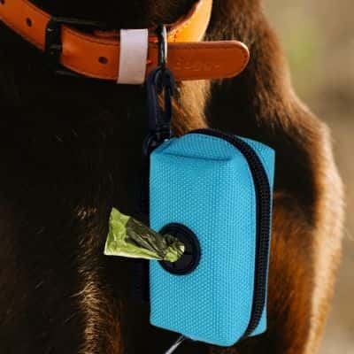 accessoire pour chien Dispenser distributeur Ă crottes bleu