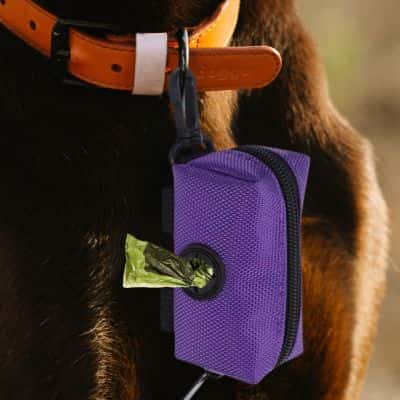 accessoire pour chien Dispenser distributeur Ă crottes violet