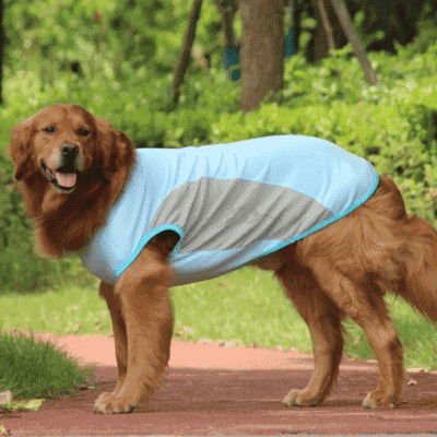 accessoire pour chien Garment rafraichissant