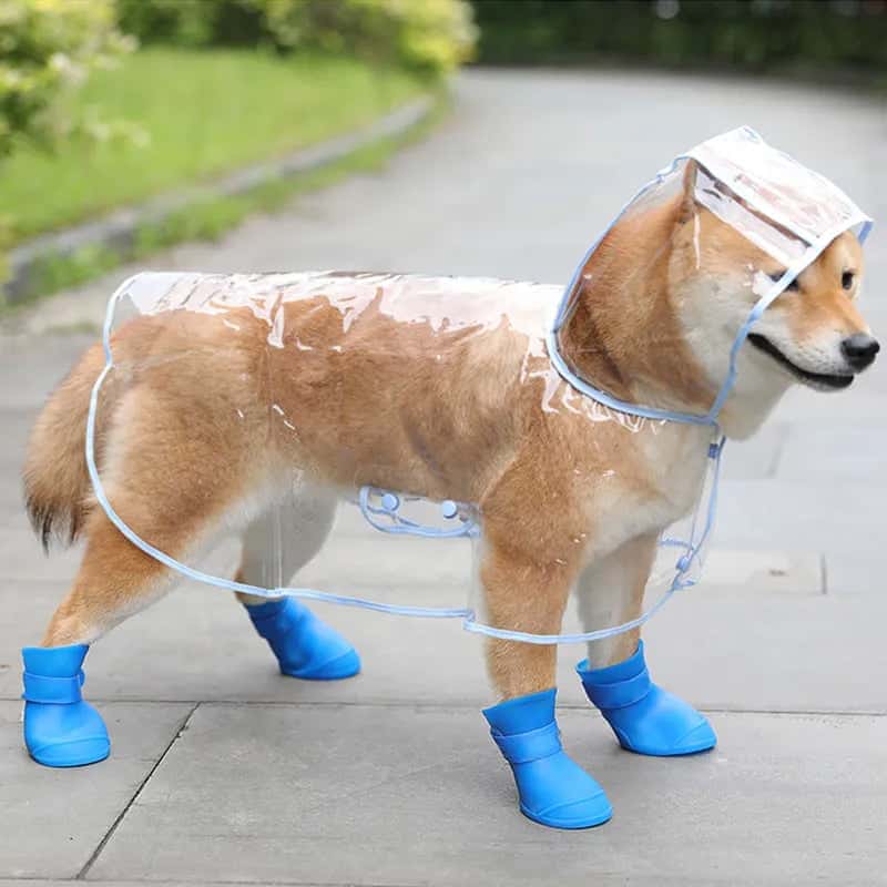 accessoire pour chien bottines BootDog bleu
