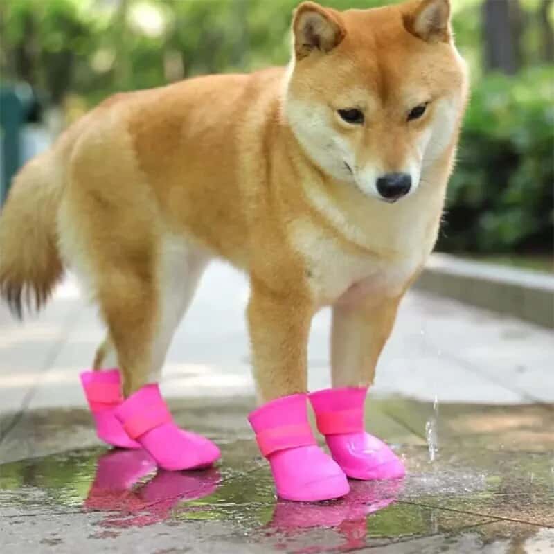 accessoire pour chien bottines BootDog roses