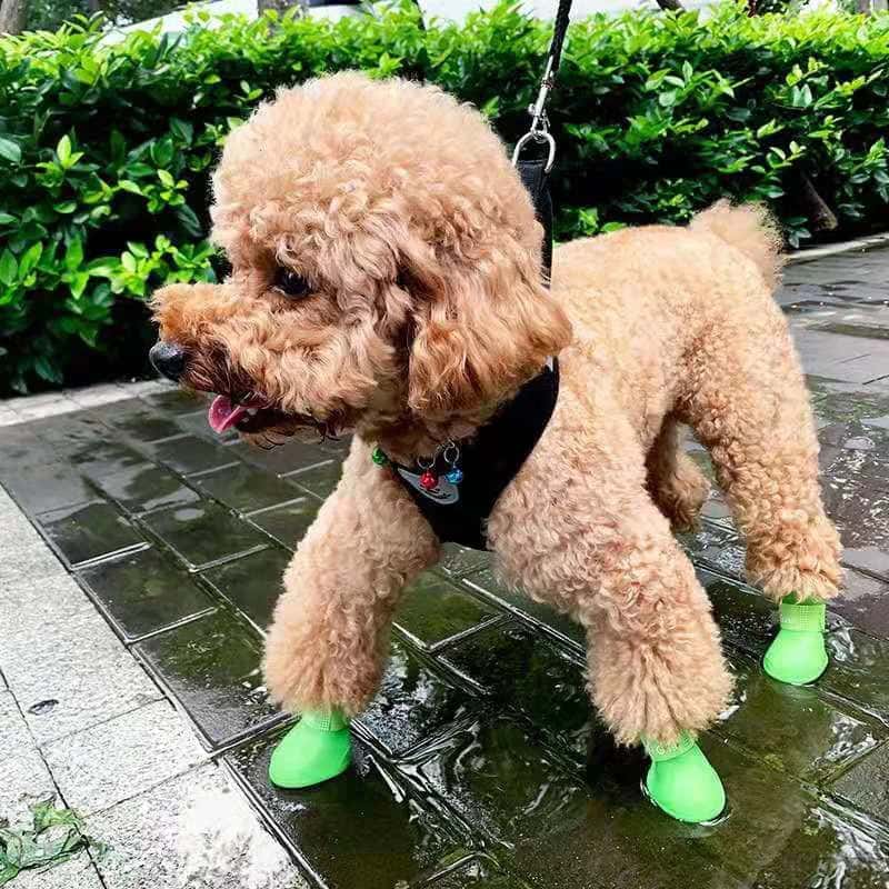 accessoire pour chien bottines BootDog vertes