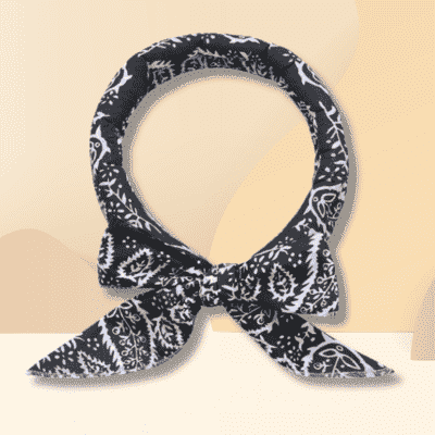 accessoire pour chien rafraichissant Collar