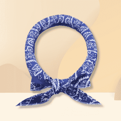 accessoire pour chien afraichissant bleu
