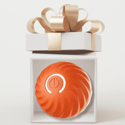 balle pour chien PetBall orange