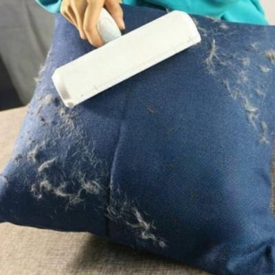 brosse anti poils accessoire pour chien
