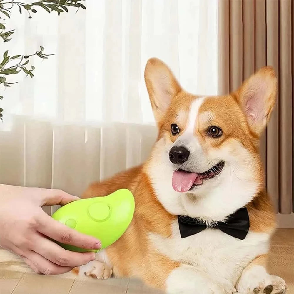 brosse pour chien Steam massante