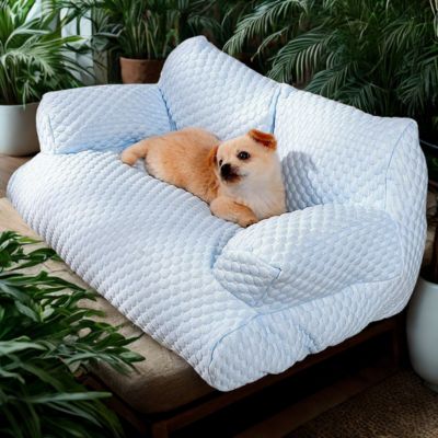 canapé-chien-Chesterfield-résistant