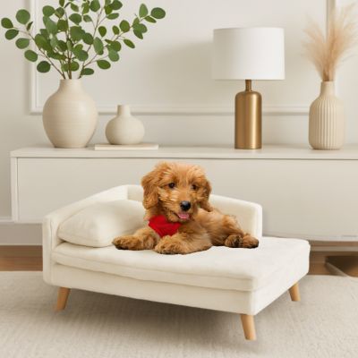 canapé-chien-Settedog S