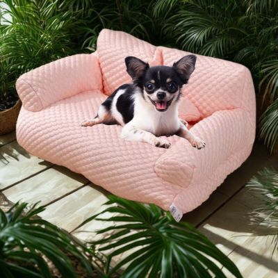 canapé-chien-chesterfield-facile-d-entretien