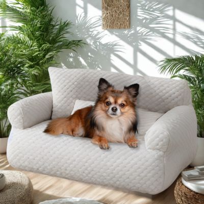 canapé chien chesterfield qualitatif