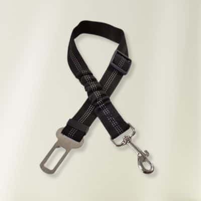 ceinture de sécurité pour chien Jasy noire