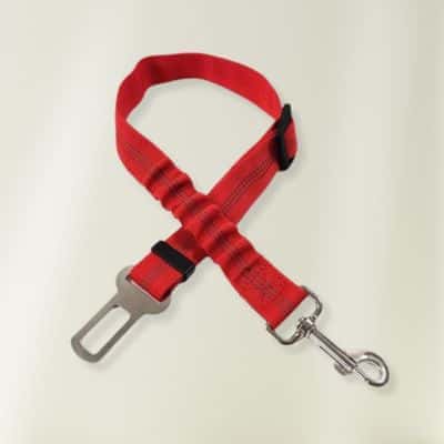 ceinture de sécurité pour chien Jasy rouge