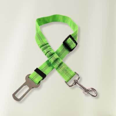 ceinture de sécurité pour chien Jasy verte