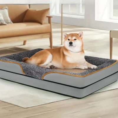 coussin chien Cocoon