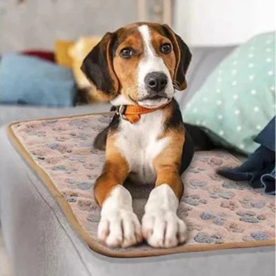 couverture pour chien Petconfort en flanelle