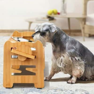 gamelle chien DishDog pratique