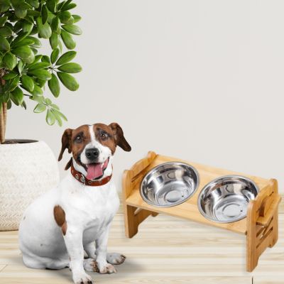 gamelle chien aide a la digestion DishDog