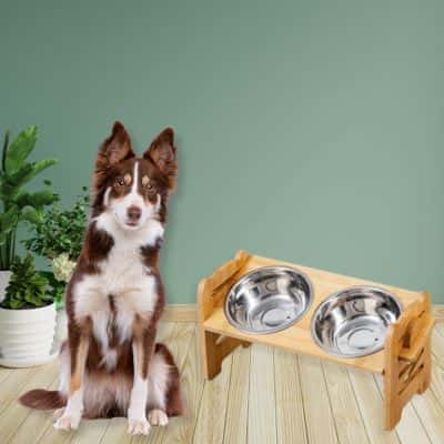 gamelle chien en bambou véritable DishDog