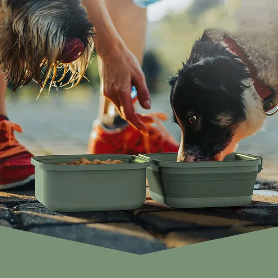 gamelle pliable chien BowlDog pratique