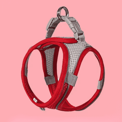 harnais chien rouge Puly