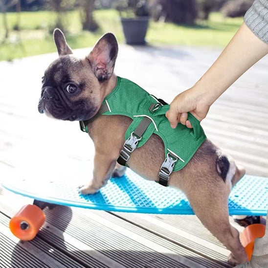 Harnais pour chien | Modo
