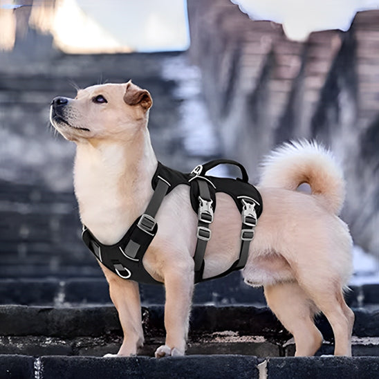 Harnais pour chien | Modo