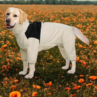 impermeable chien joli RaincoatPet facile a mettre