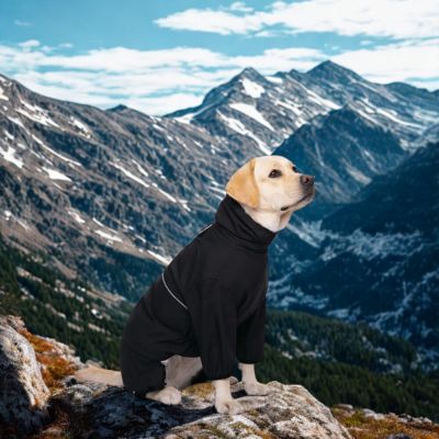 impermeable chien joli RaincoatPet durable