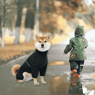impermeable chien noir RaincoatPet