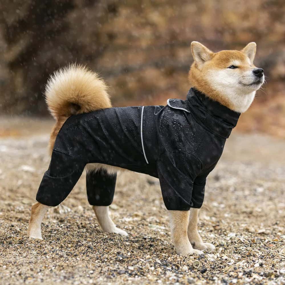 impermeable chien pratique RaincoatPet