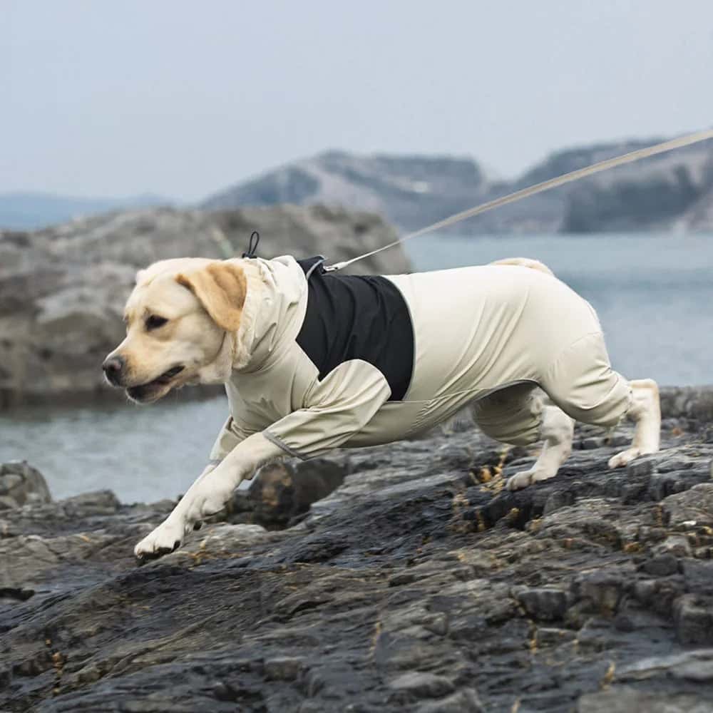 impermeable chien resistant RaincoatPet