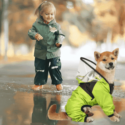 Analyzing image impermeable-pour-chien-a-capuche