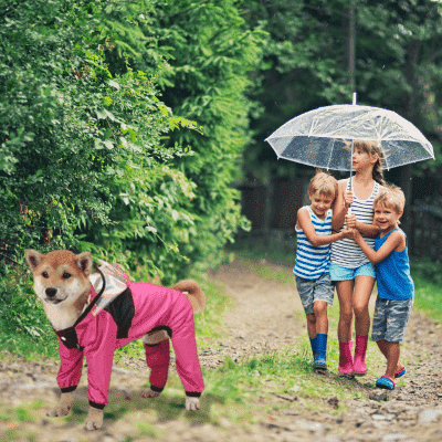 impermeable-pour-chien-etanche