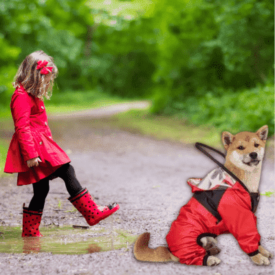 impermeable-pour-chien-joli