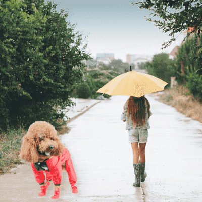 impermeable-pour-chien-rouge
