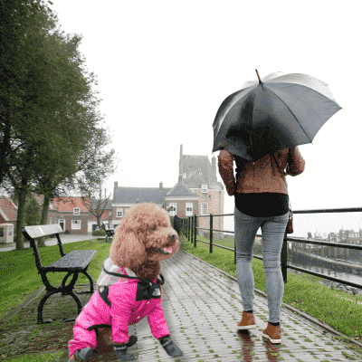 impermeable-pour-chien