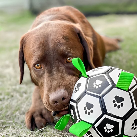 jouet pour chien Doggy amusant