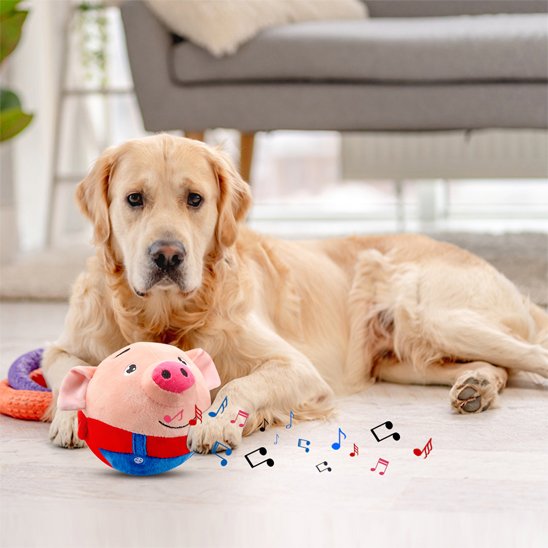 jouet pour chien Pingo doux