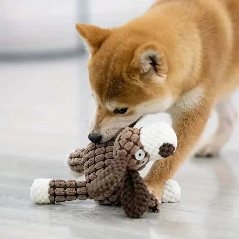 jouet-pour-chien-artisanal