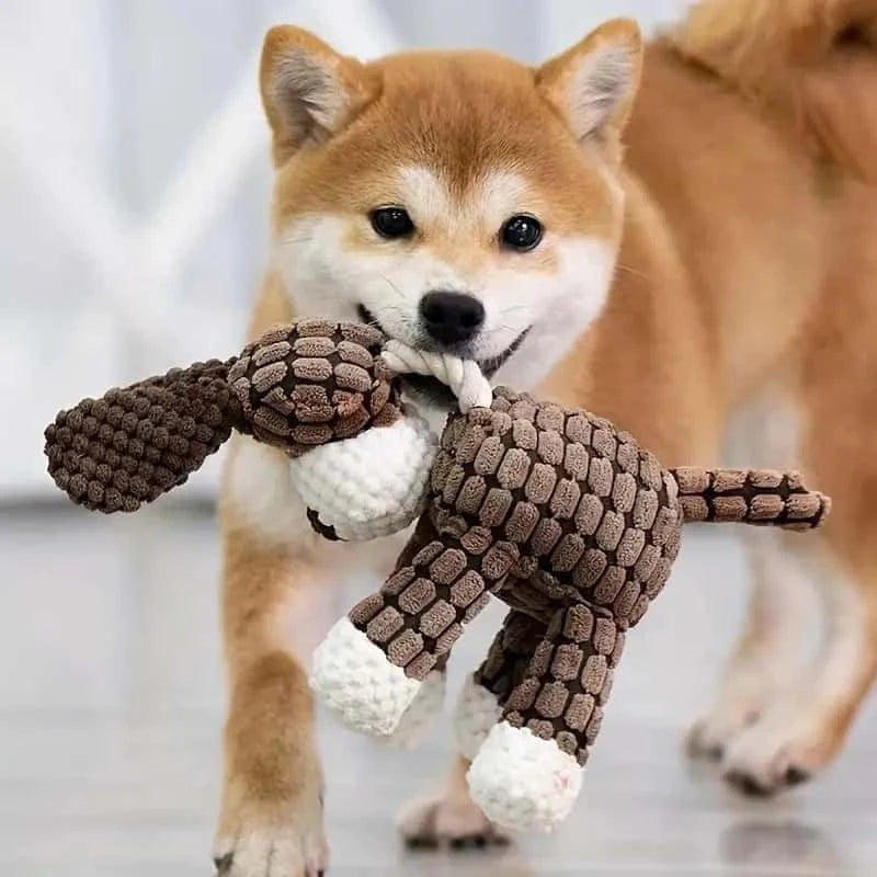 jouet-pour-chien-corde-Ă -mĂącher