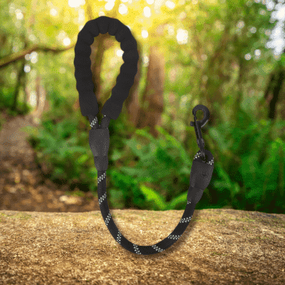 laisse pour chien DogLeash