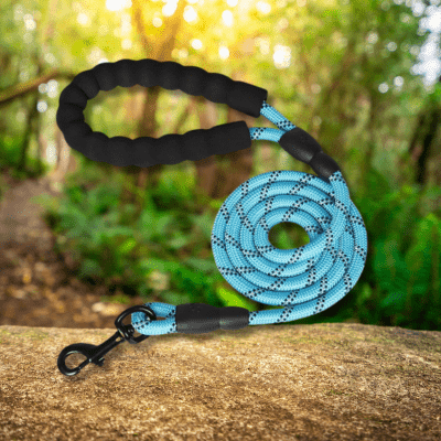 laisse pour chien bleu LeashPet