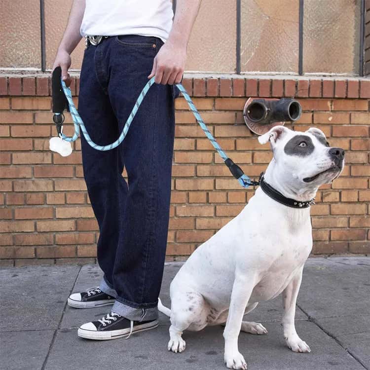 laisse pour chien confortable LeashPet