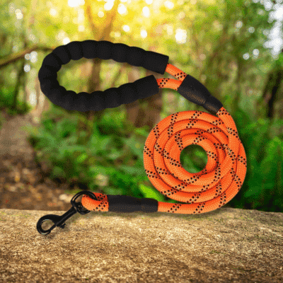 laisse pour chien orange LeashPet