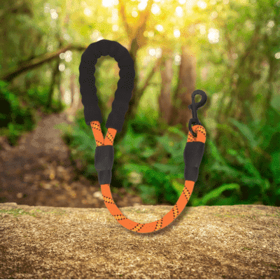 laisse pour chien pratique reflechissante DogLeash